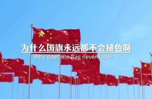 花瓶粉碎者