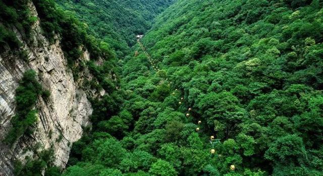 但行前路 无问西东